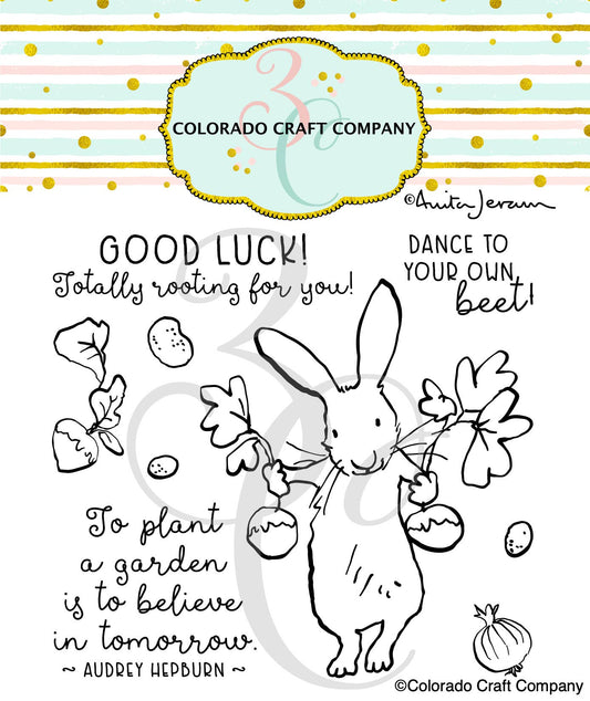 Colorado Craft Company - AJ778 Anita Jeram~Rooting For You! 4 x 4 Clear Stamps