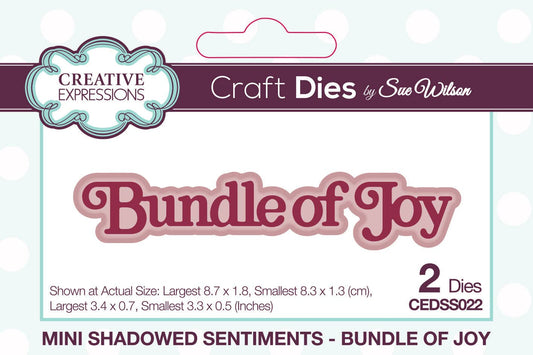 Ecstasy Crafts Distributing - Creative Expressions Sue Wilson Mini Shadowed Sentiments Bundle Of Joy Craft Die