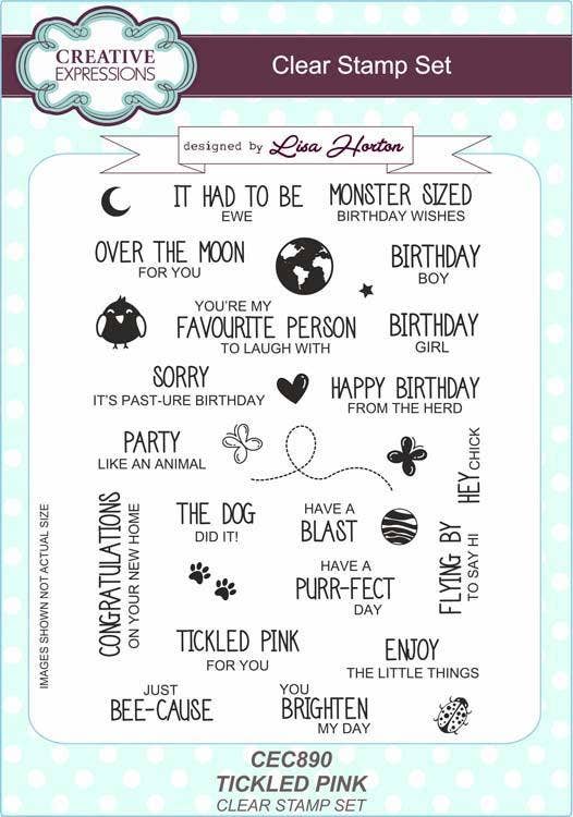 Ecstasy Crafts Distributing - Creative Expressions Tickled Pink Sentiments A5 Clear Stamp